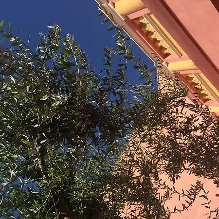 La Casa Di Carta